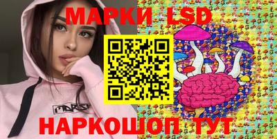 эйфоретик Кимры