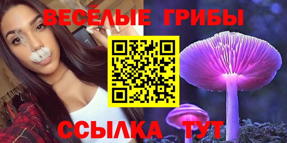 Галлюциногенные грибы GOLDEN TEACHER  Вход с VPN  Учалы  Галлюциногенные грибы Psilocybine cubensis 