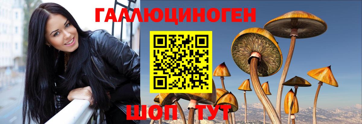 Псилоцибиновые грибы прущие грибы Учалы
